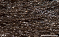 pediculosis capitis