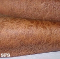 leprosy lepromatous